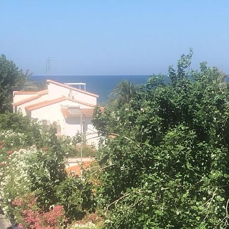 Primera Linea De Playa A 1Km Del Puerto De 데니아 외부 사진